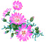 Fleur-086