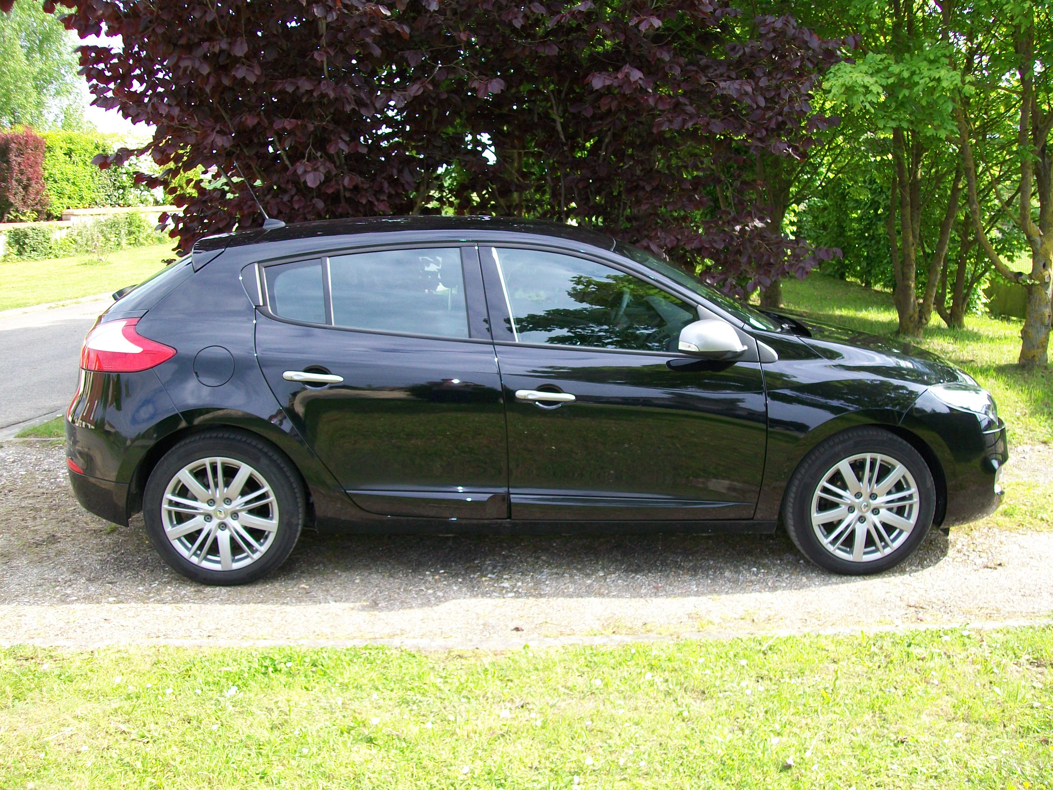 M&eacute;gane de profil
