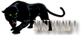 Nouveaux messages