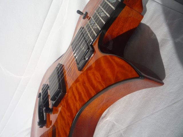 guitare ravelle LP 011