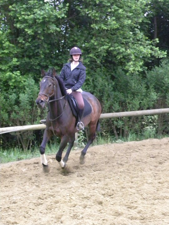 28827_1490491141791_2257943_n