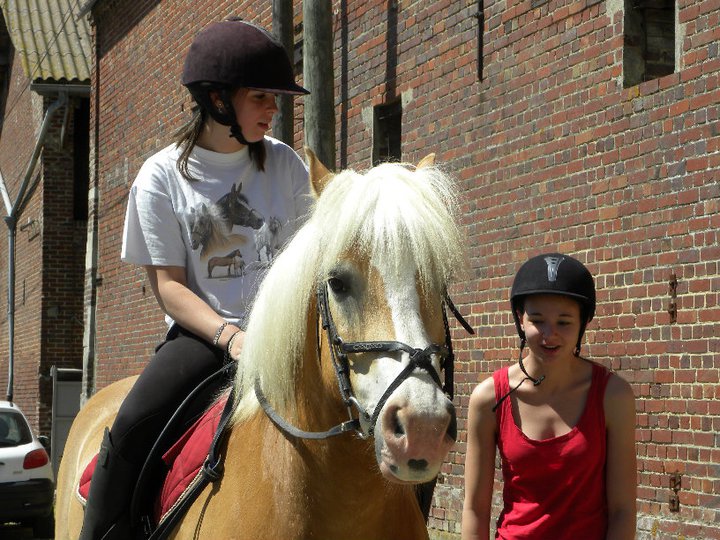 255470_2112804619239_2645473_n