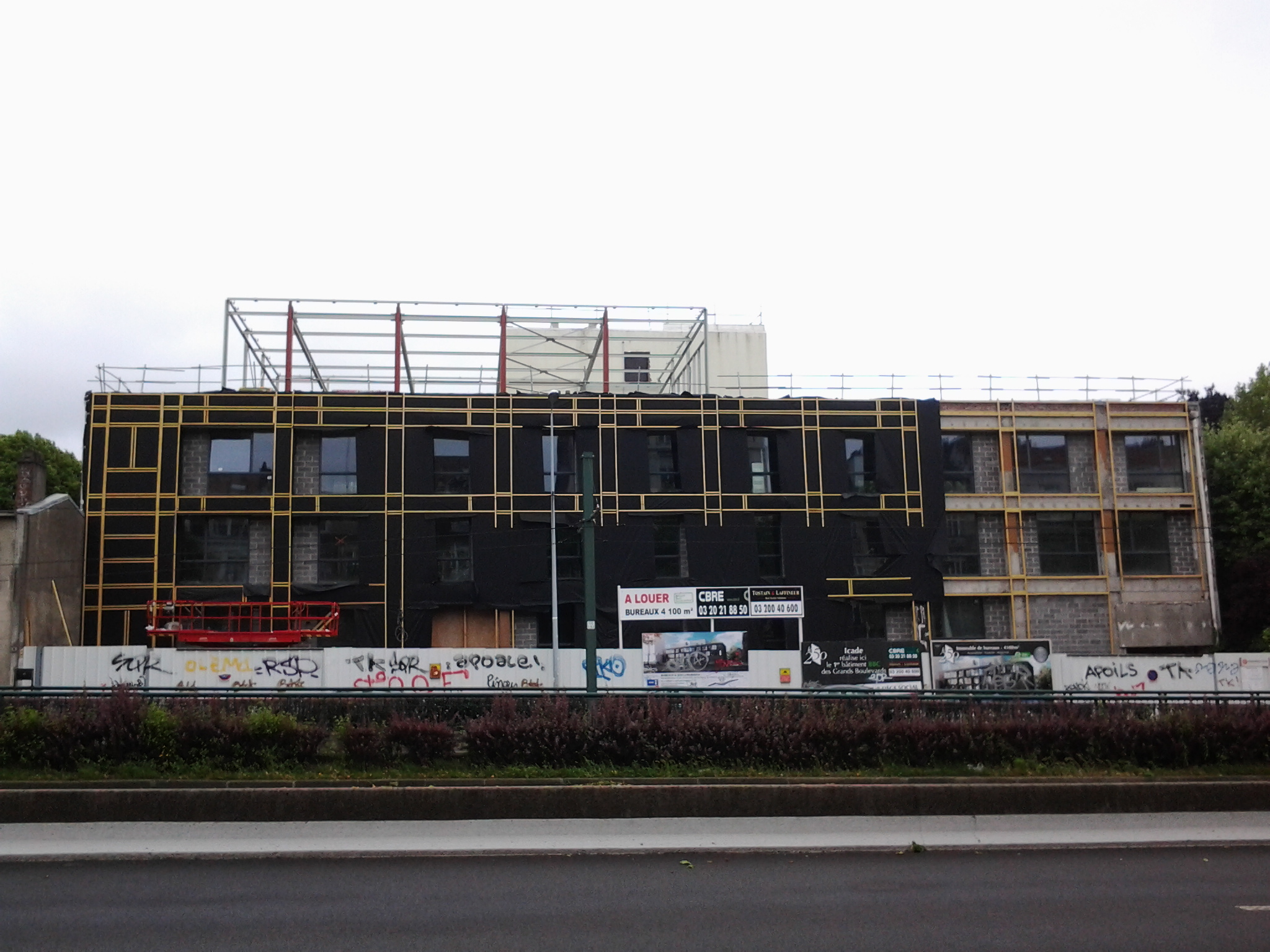 Photo0262