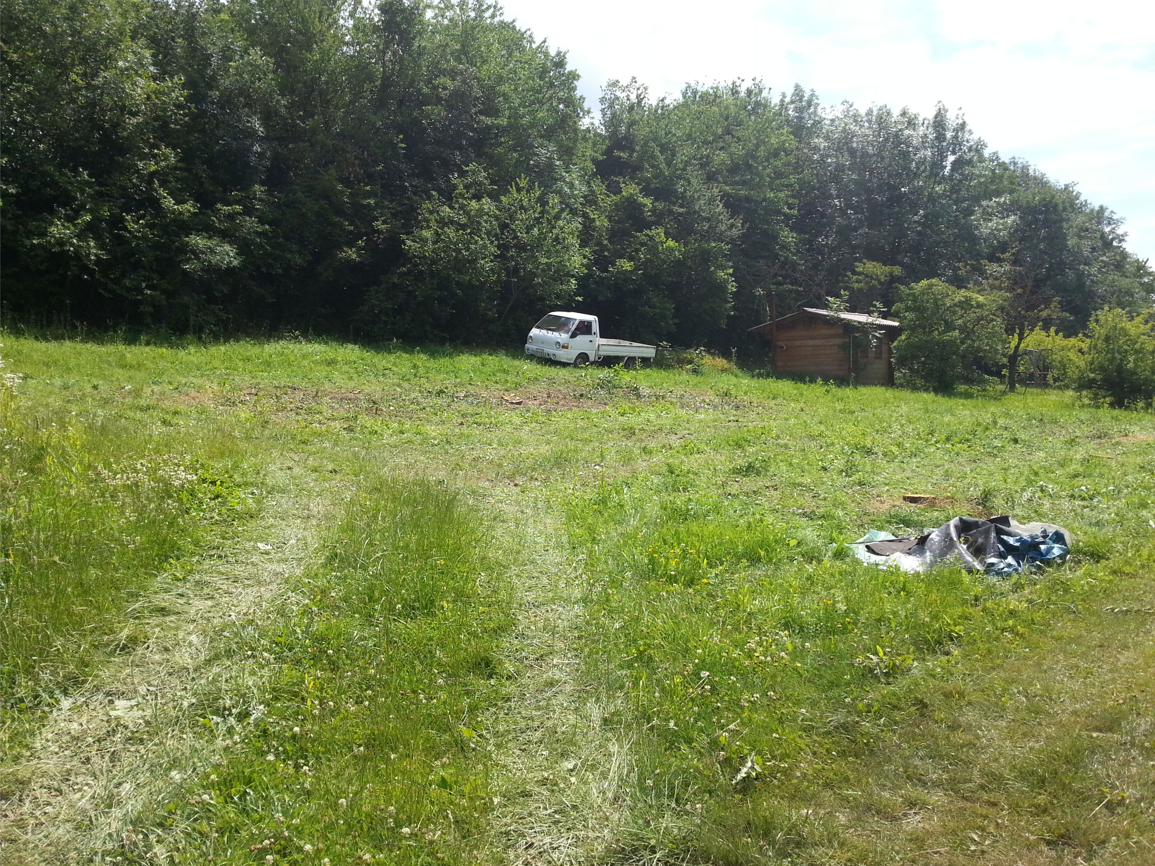 terrain sans les arbres