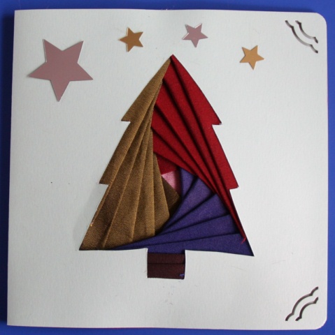 CarteIrisFolding - IMG_3370 [640x480]