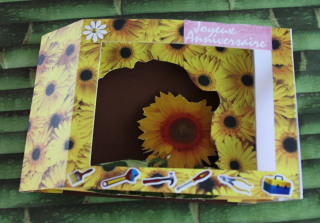 Carte3D - IMG_1996 [640x480]