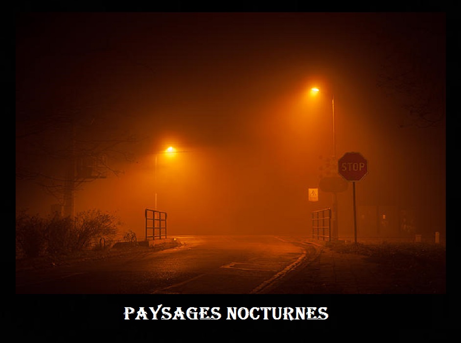 Paysage nocturnes