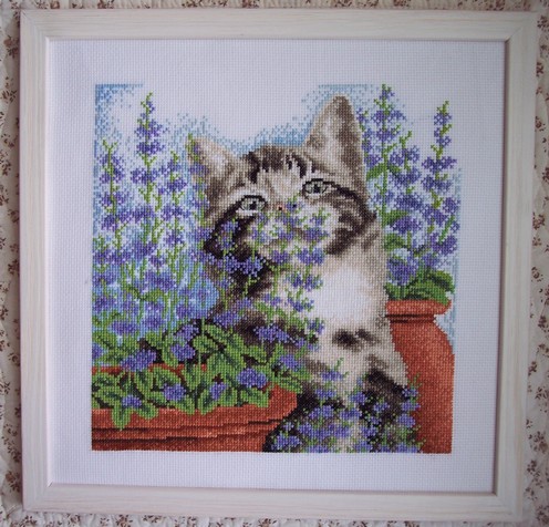 dmc_catmint_fin