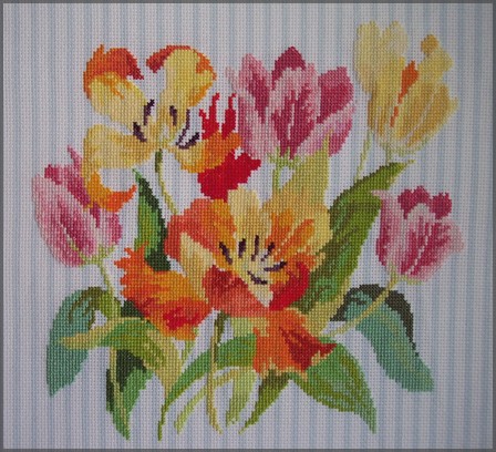 lesleyteare_tulipes_fin