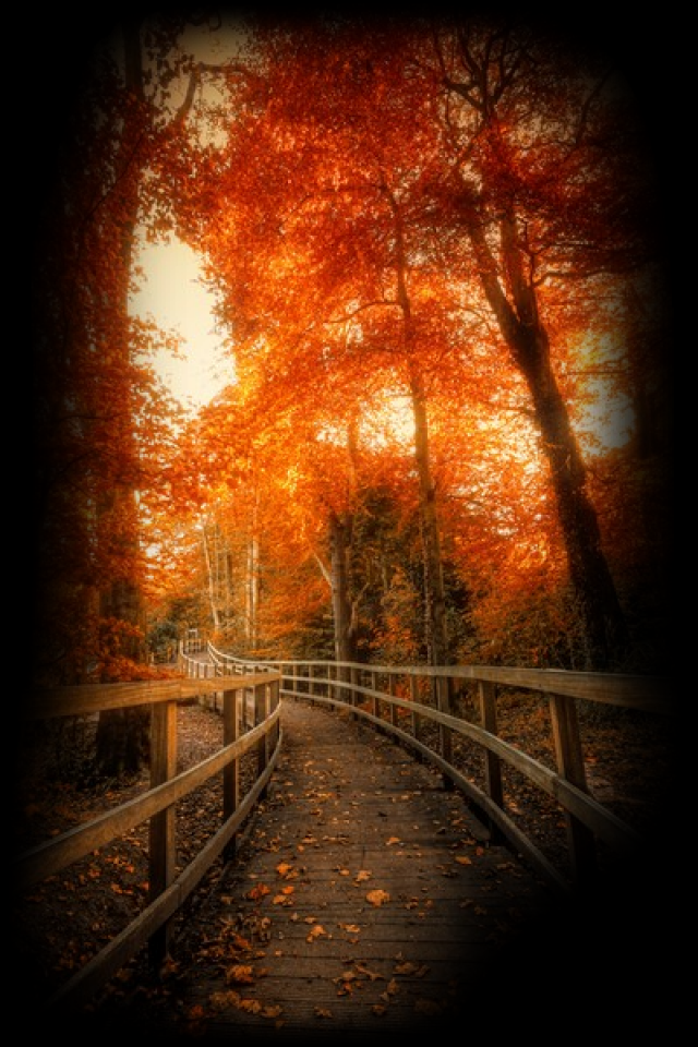 tube blog paysage automne