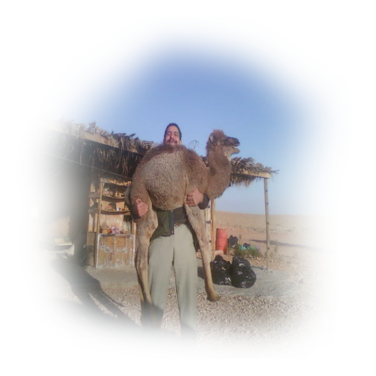 MOHCAMEL2