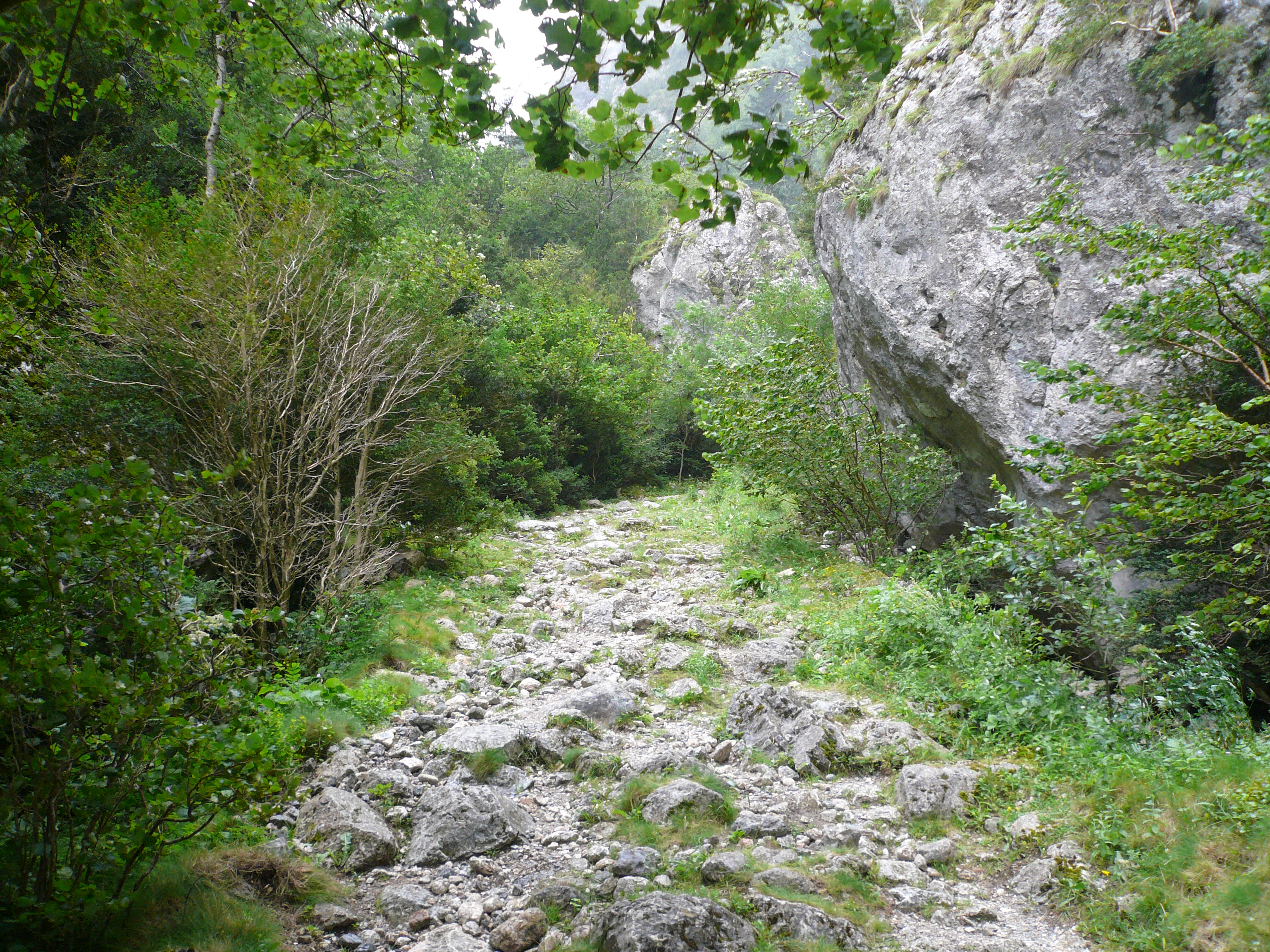 P1040189