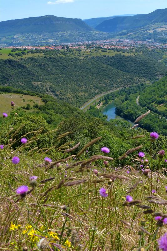 Millau nature + retouches 13082509130310049811495548