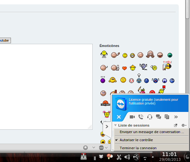 2013-08-29 TeamViewer