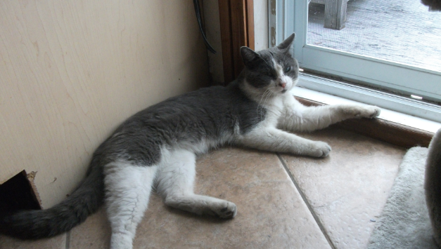 Paco int&eacute;rieur