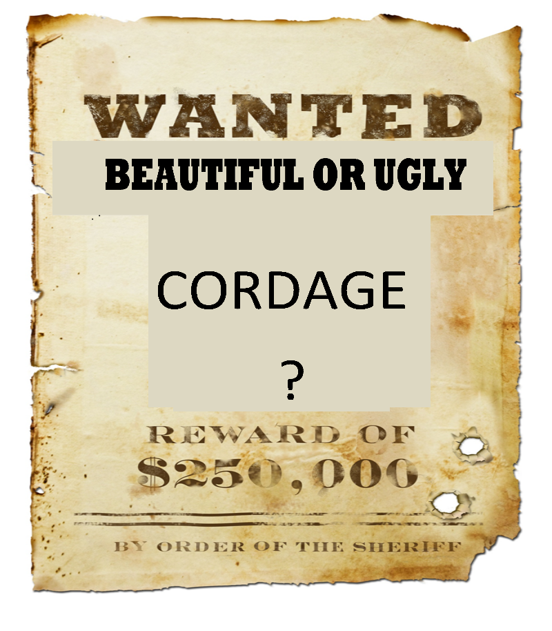 Wanted #5