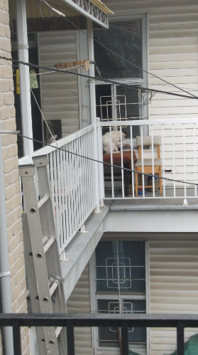 vue sur le balcon du voisin