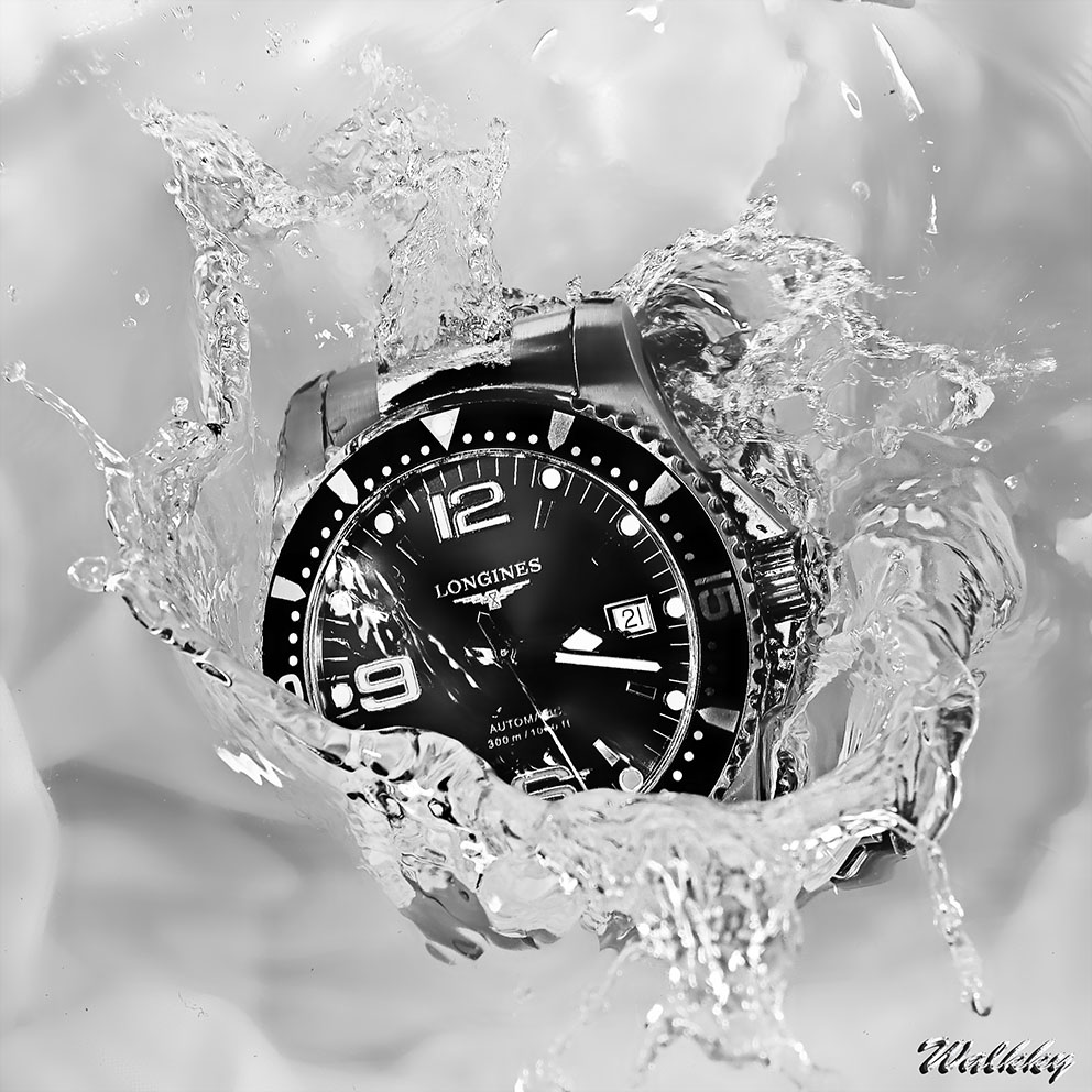 Feu de Longines HydroConquest - Page 30 13092609454516574711584217