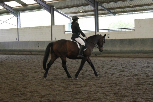 321412_10200995203221742_2074968680_n