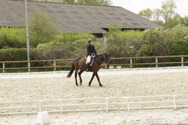 934972_10200995216902084_1529043533_n