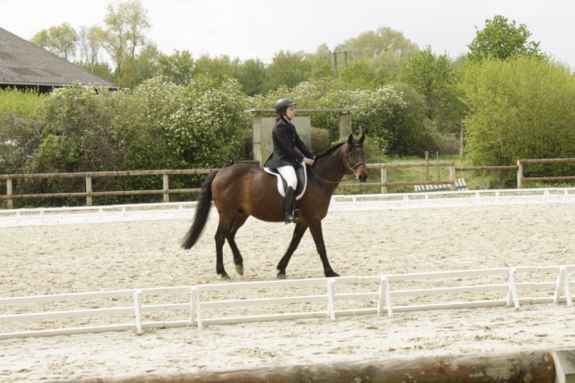 941487_10200995217342095_371949175_n