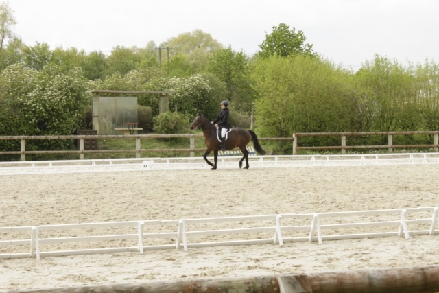 943090_10200995213822007_701462306_n