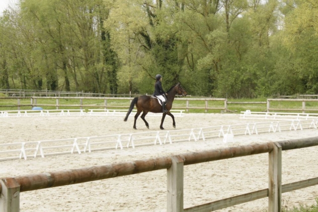 947208_10200995211581951_803102007_n