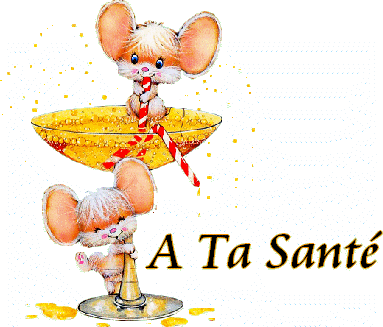 081101122042304852688845