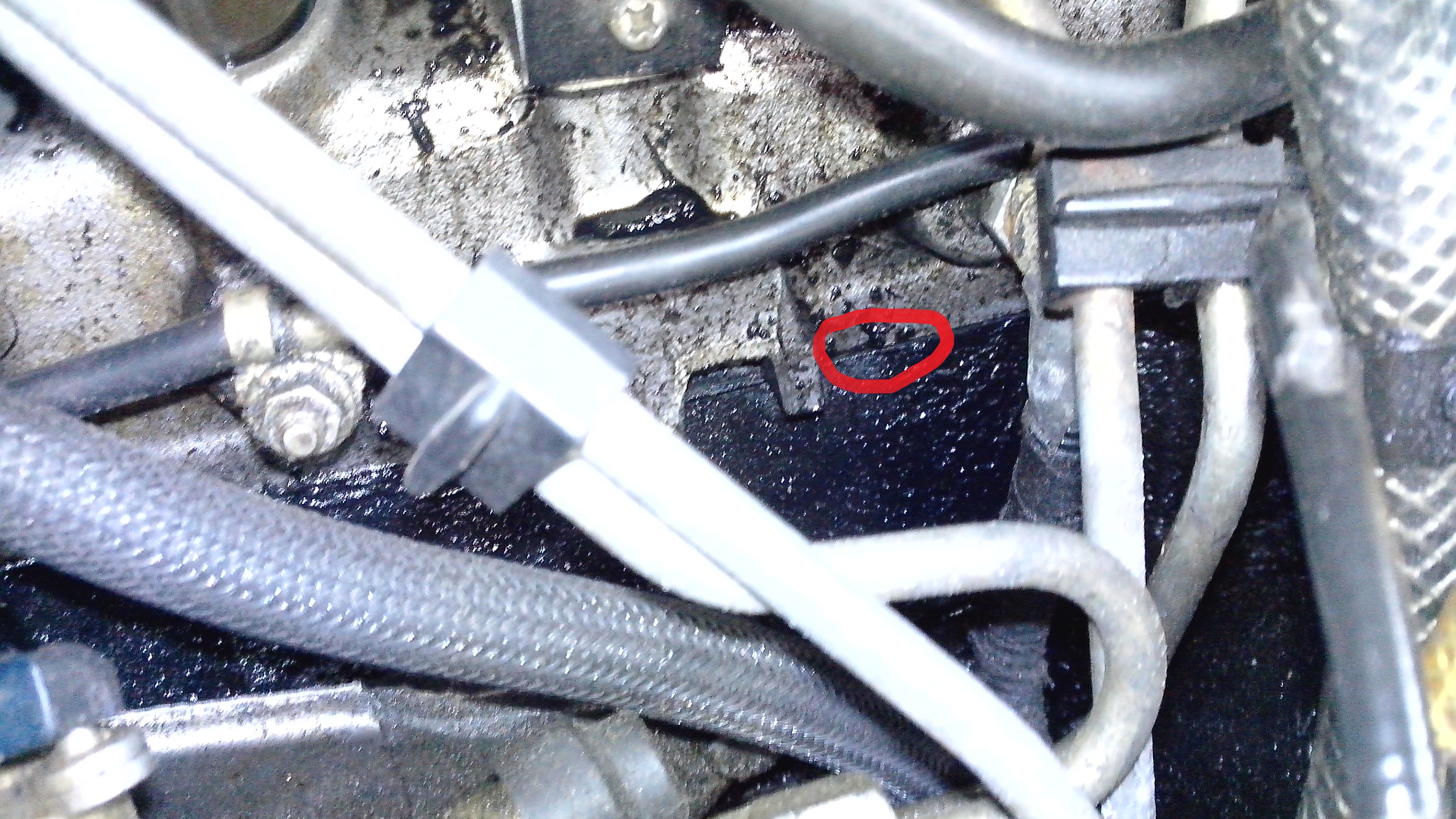 IMG_20131026_1745265