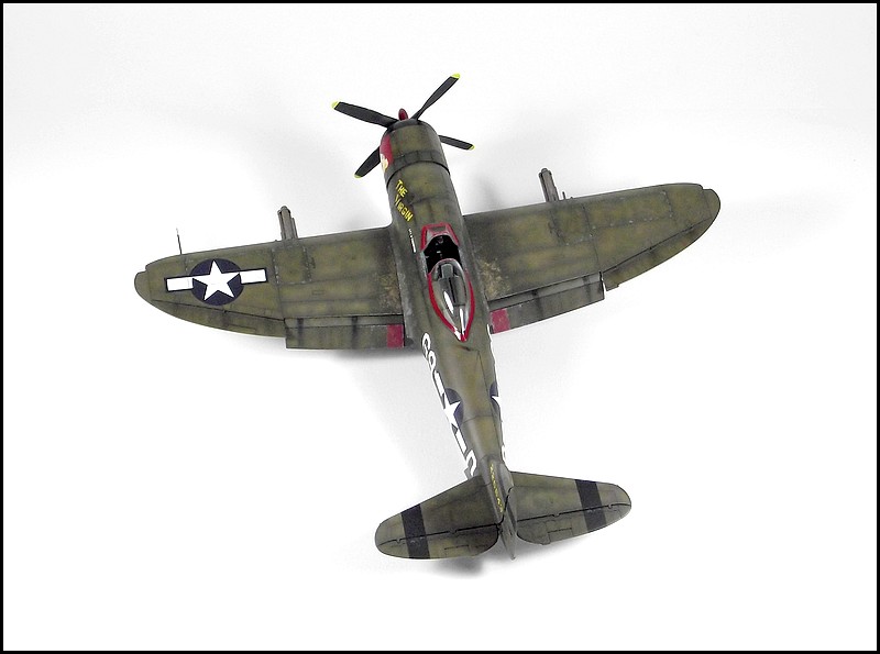 P-47D-25 "The Virgin/Fancy Pant's" 1311030456004926411699827