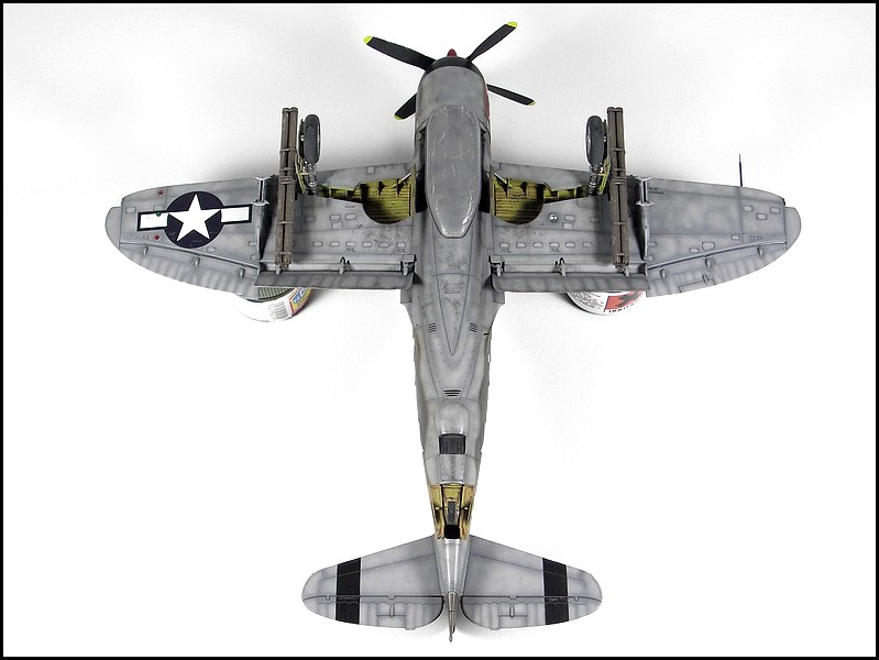 P-47D-25 "The Virgin/Fancy Pant's" 1311030456004926411699828