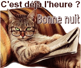 Chat Journal ''C'est d&eacute;j&agrave; l'heure Bonne nuit''