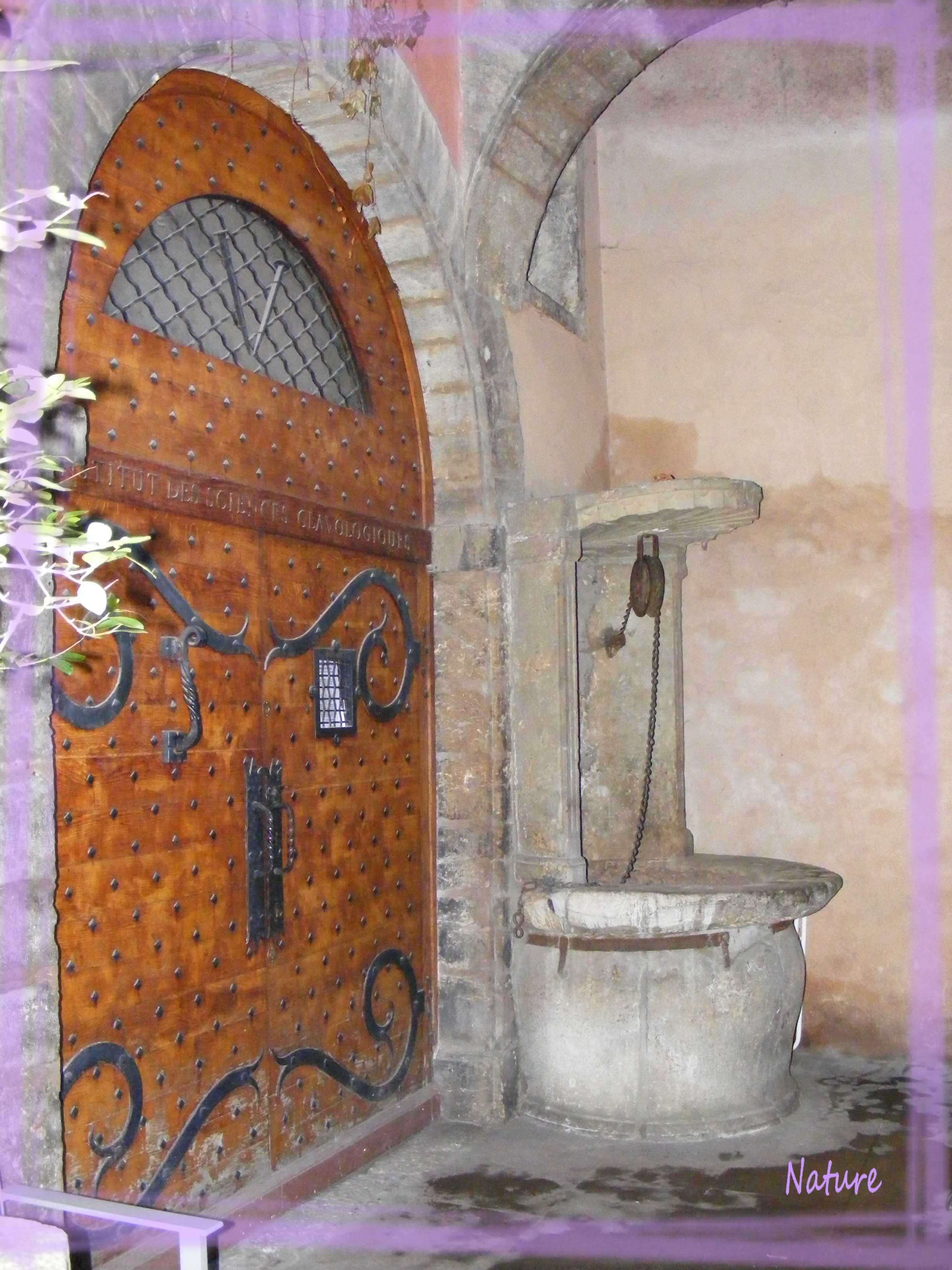 DSCF4723.JPG11
