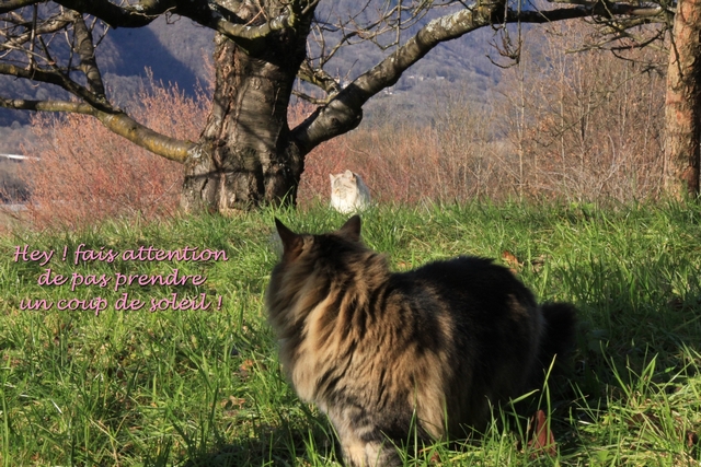 coucher soleil 6 com