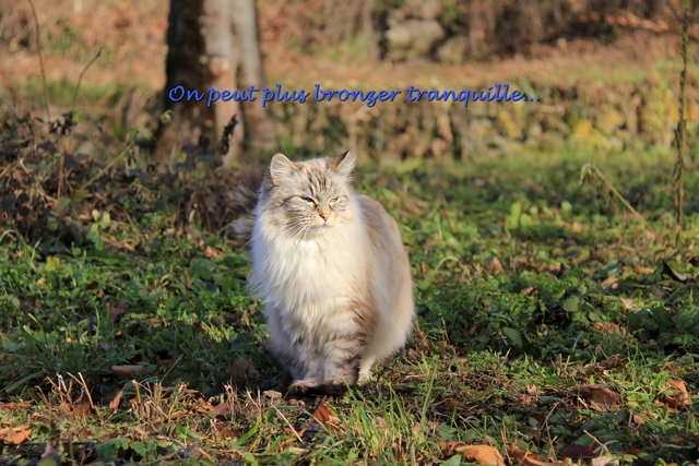 coucher soleil 9 com