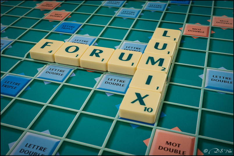 Un dimanche parfait pour un Scrabble! 14011312241710300811892439