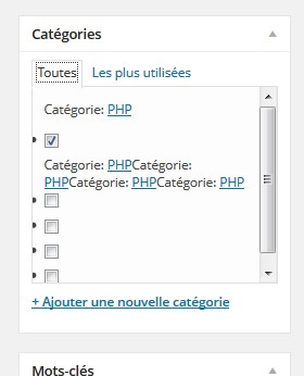 bug wordpress
