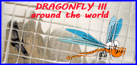 logo DragonflyIII4