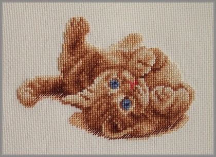 dmc_chatonjoueur_