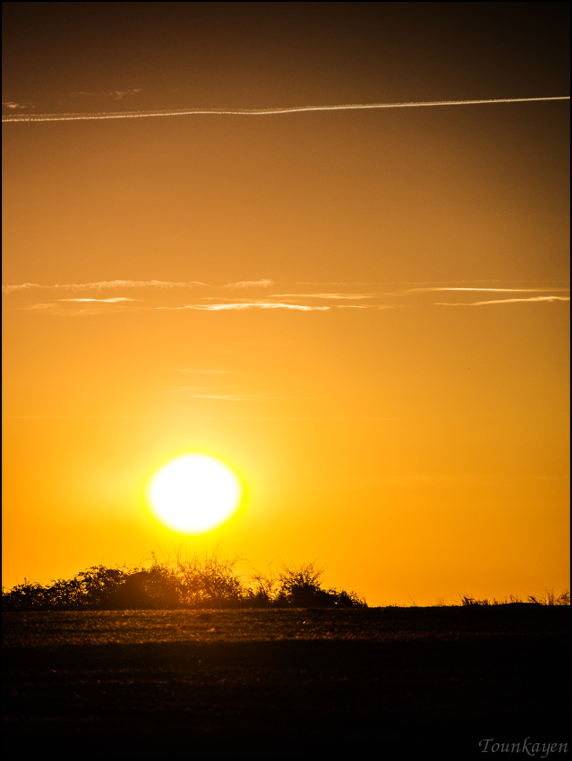 POTD Lumix du 07/03/2014 1403070611545305712044476