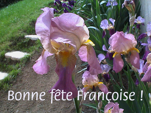 Mercredi 9 Mars : Bonne fête Françoise (Nounouka) 14030811313113850112048005