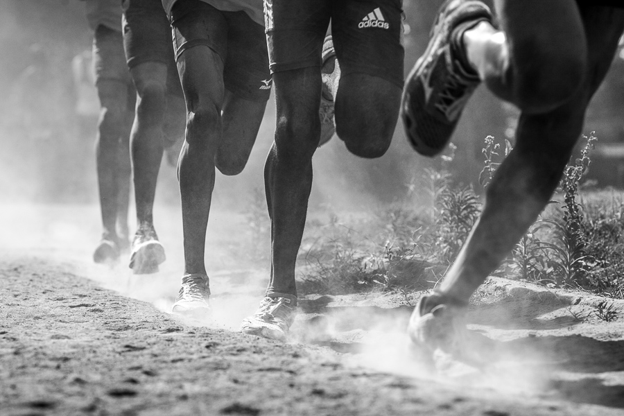 Coureurs dans la poussière 14031809012717364912075223