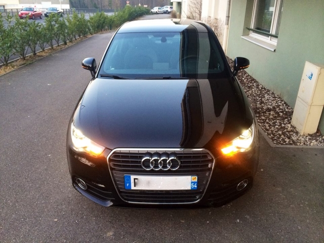 1902055_10203221798336647_1017773504_n