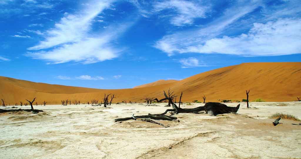 Dead wood valley, dÃ©sert du Namib.