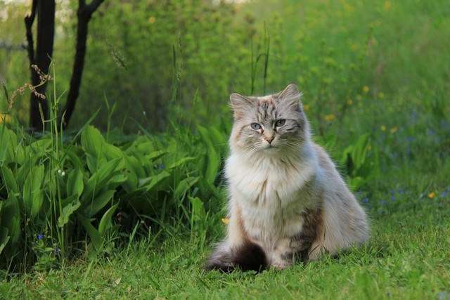 1%20er%20mai%202014%20640p%200001