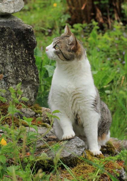 1%20er%20mai%202014%20640p%200004