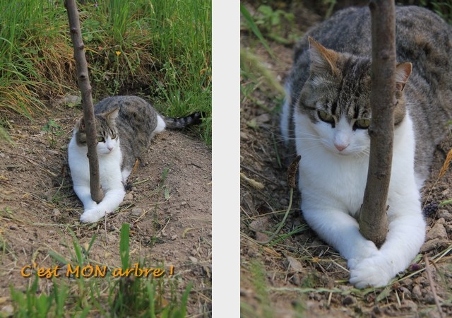 1%20er%20mai%202014%20640p%200005