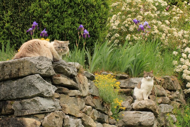 1%20er%20mai%202014%20640p%200006