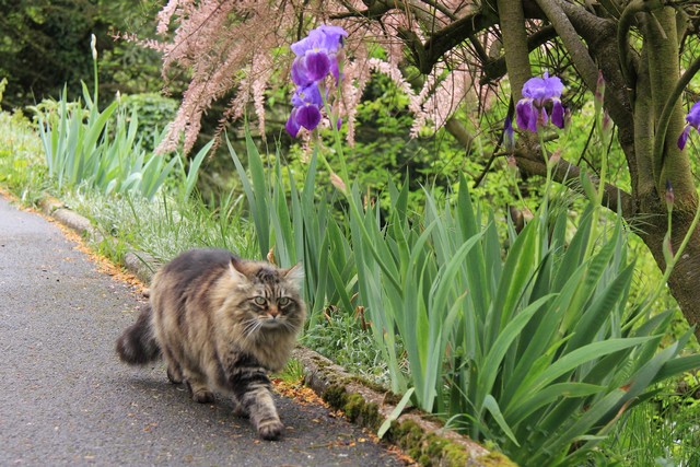 1%20er%20mai%202014%20640p%200007