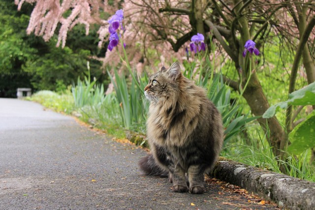 1%20er%20mai%202014%20640p%200008